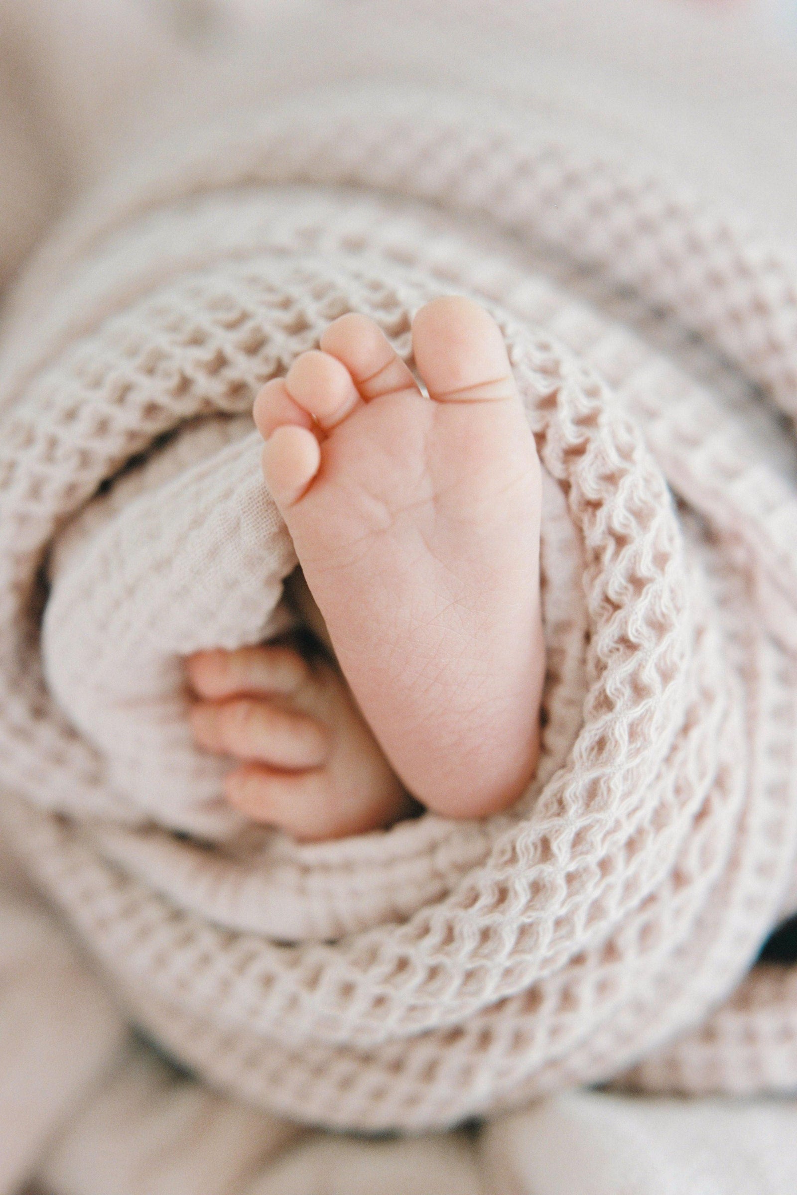 Birth Photography Contract Bundle - TheLawTog®